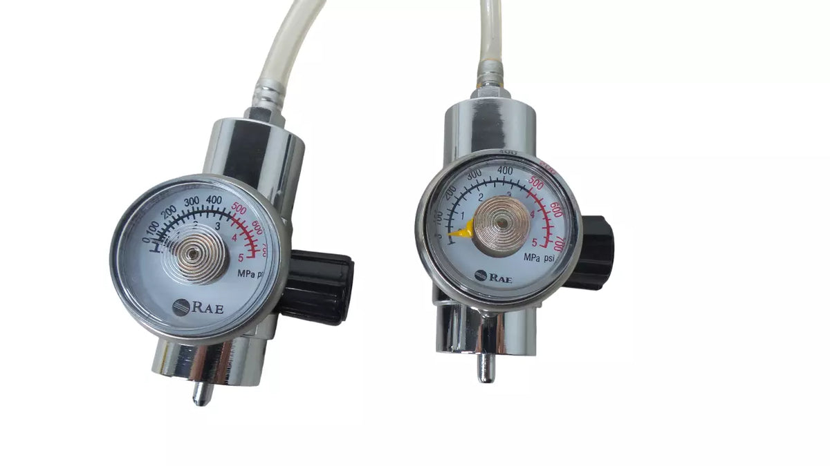 Lot of 2 RAE Systems Regulator CGA-600 0.5L/min