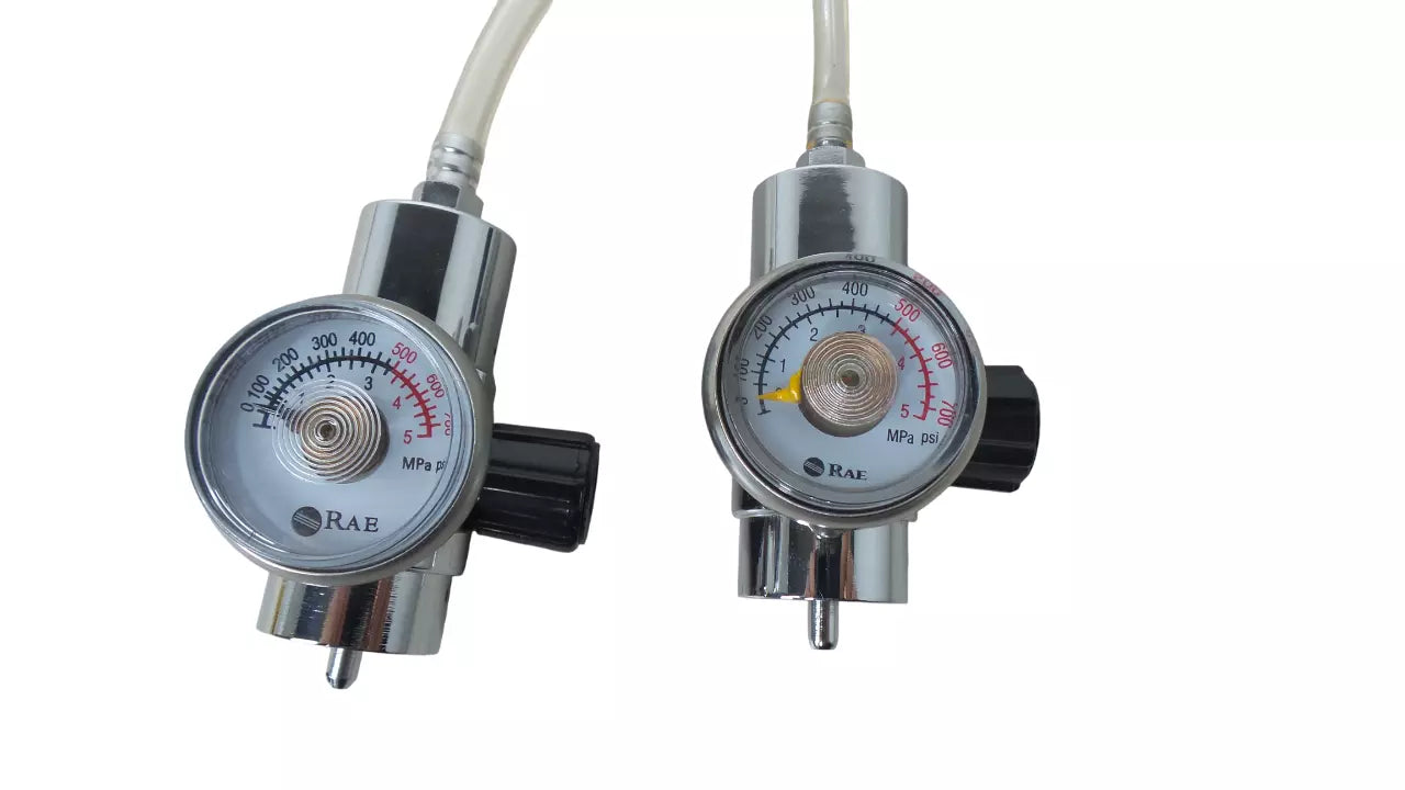 Lot of 2 RAE Systems Regulator CGA-600 0.5L/min