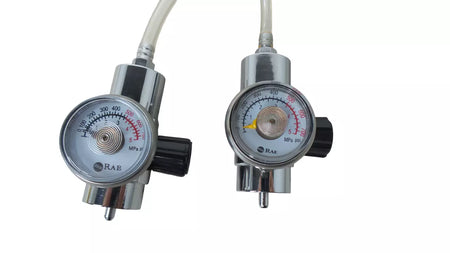 Lot of 2 RAE Systems Regulator CGA-600 0.5L/min