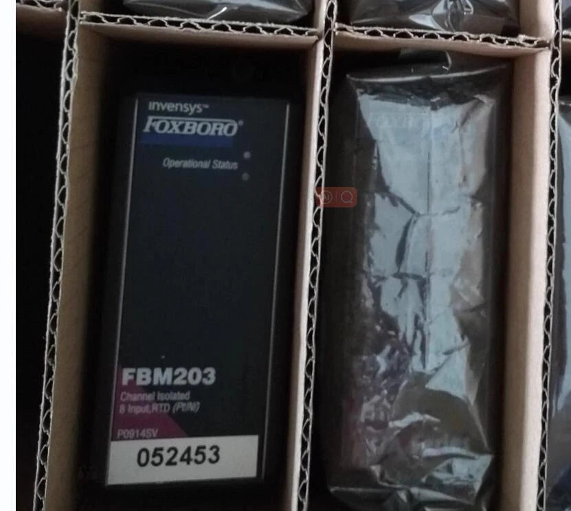 Invensys Foxboro I/A Series P0917GY Module FBM207c