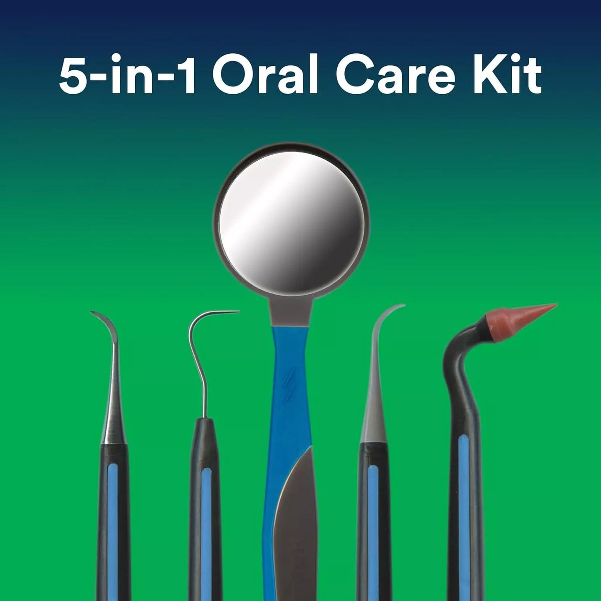 Professional Oral Care Kit with Plaque & Tartar Remover, Dental Pick, Scale