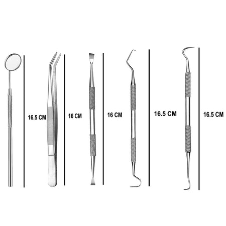 Alis 5 Pcs Dental PMT Set - Stainless Steel Oral Care Kit with Probes