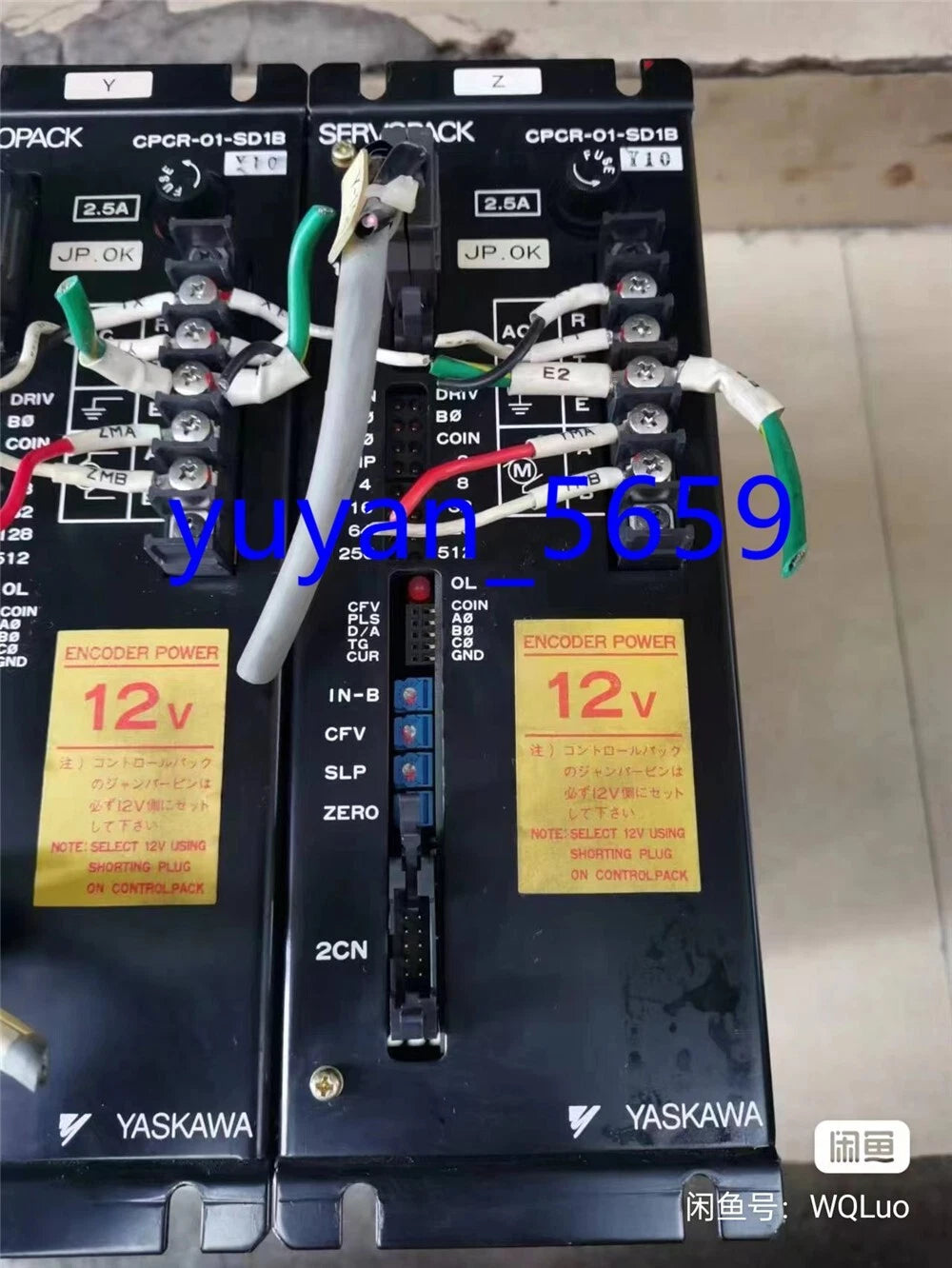 Live Shopping on eBay Platform - Real-Time Interactive Experience