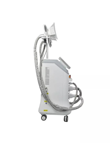 5 Handles Vertical Fat Freeze Double Chin Fat Burning Weight Loss Machine