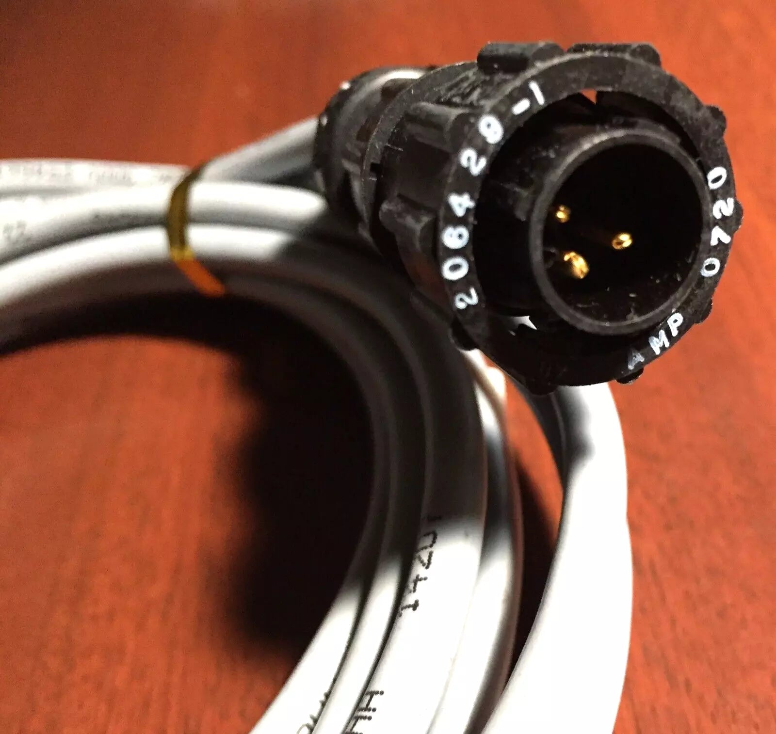 Turck RK-4.5T-2 5 Pole M12 Female with 206429-1 TE Connectivity