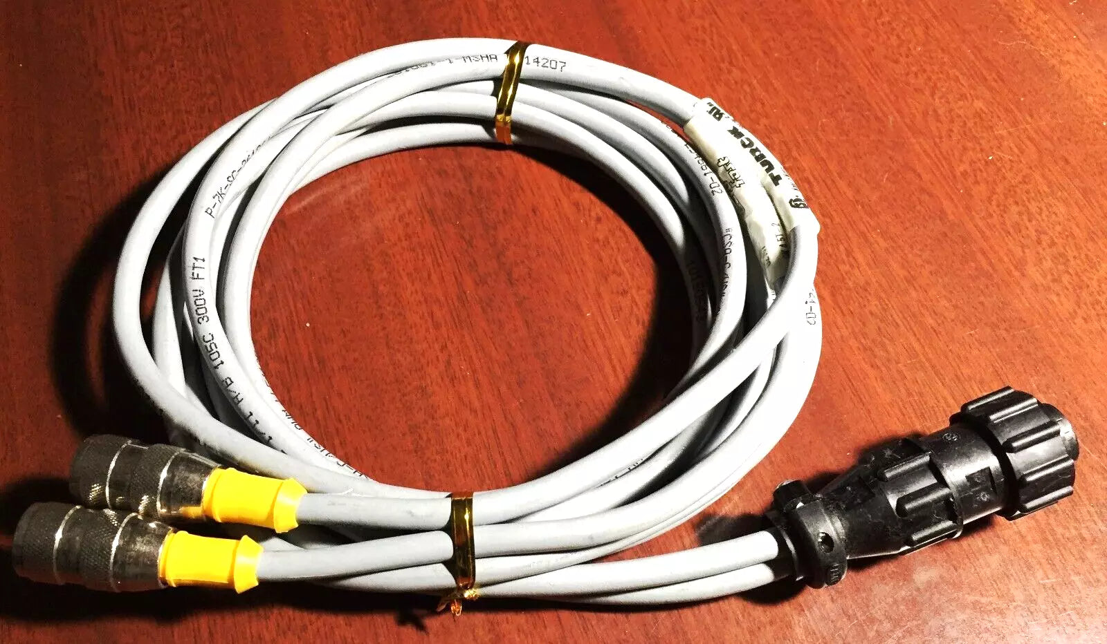 Turck RK-4.5T-2 5 Pole M12 Female with 206429-1 TE Connectivity