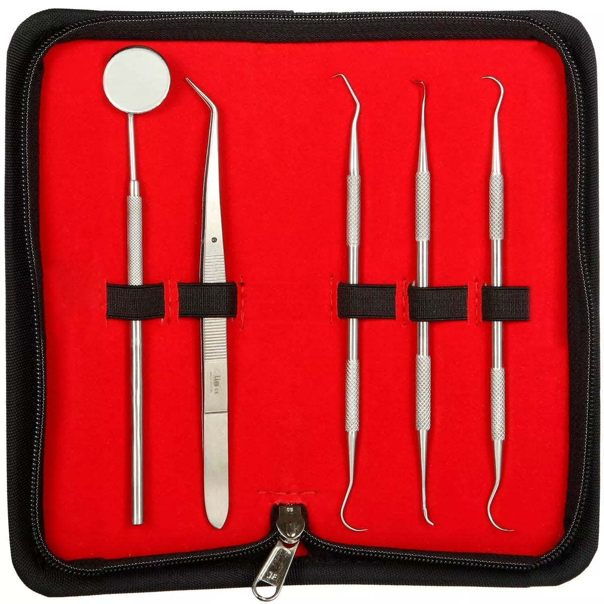 Alis 5 Pcs Dental PMT Set - Stainless Steel Oral Care Kit with Probes