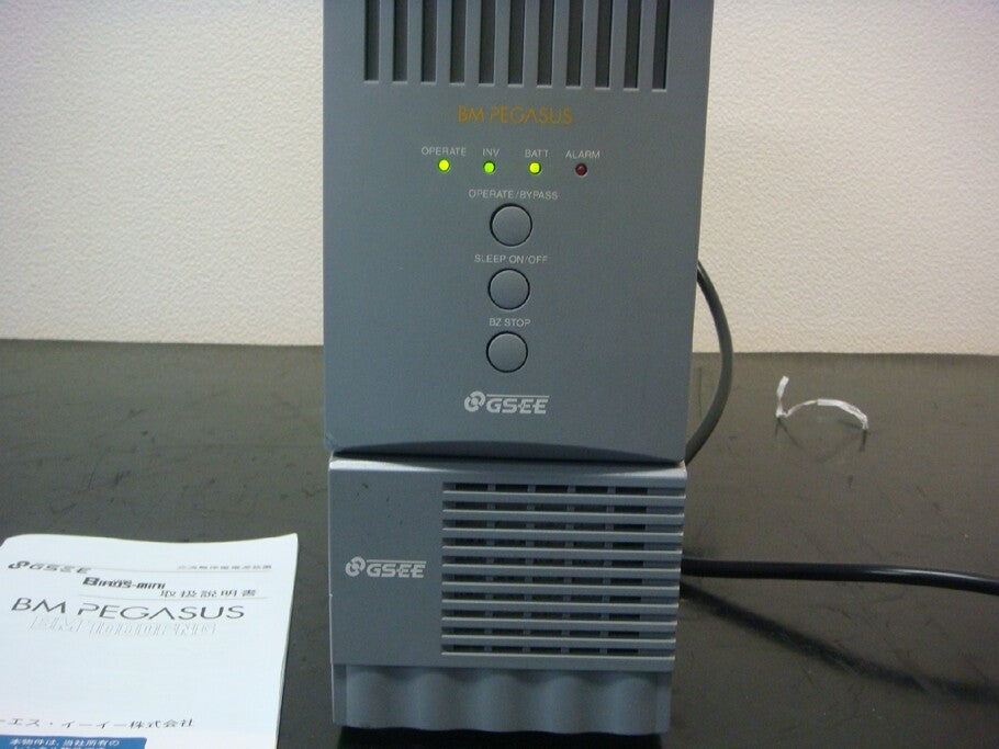 GS YUASA BM1000-10FNG UPS