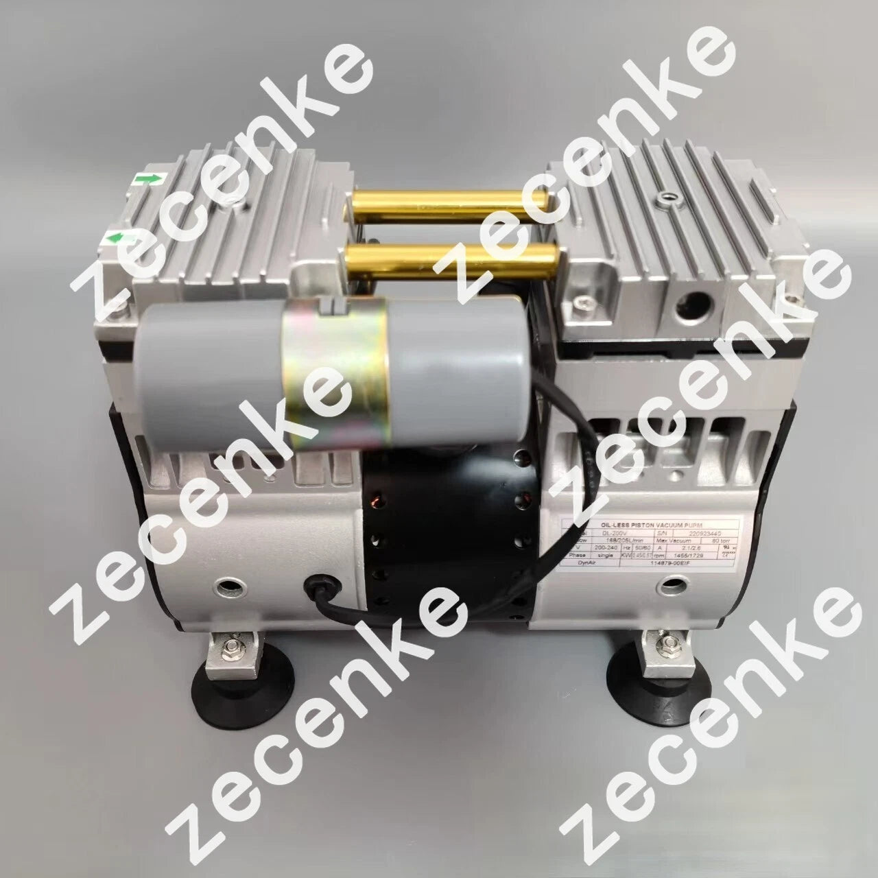 1PCS New Thermo 114879-00-EIF 3880i External Pump 220V 50W 1455/1729rpm