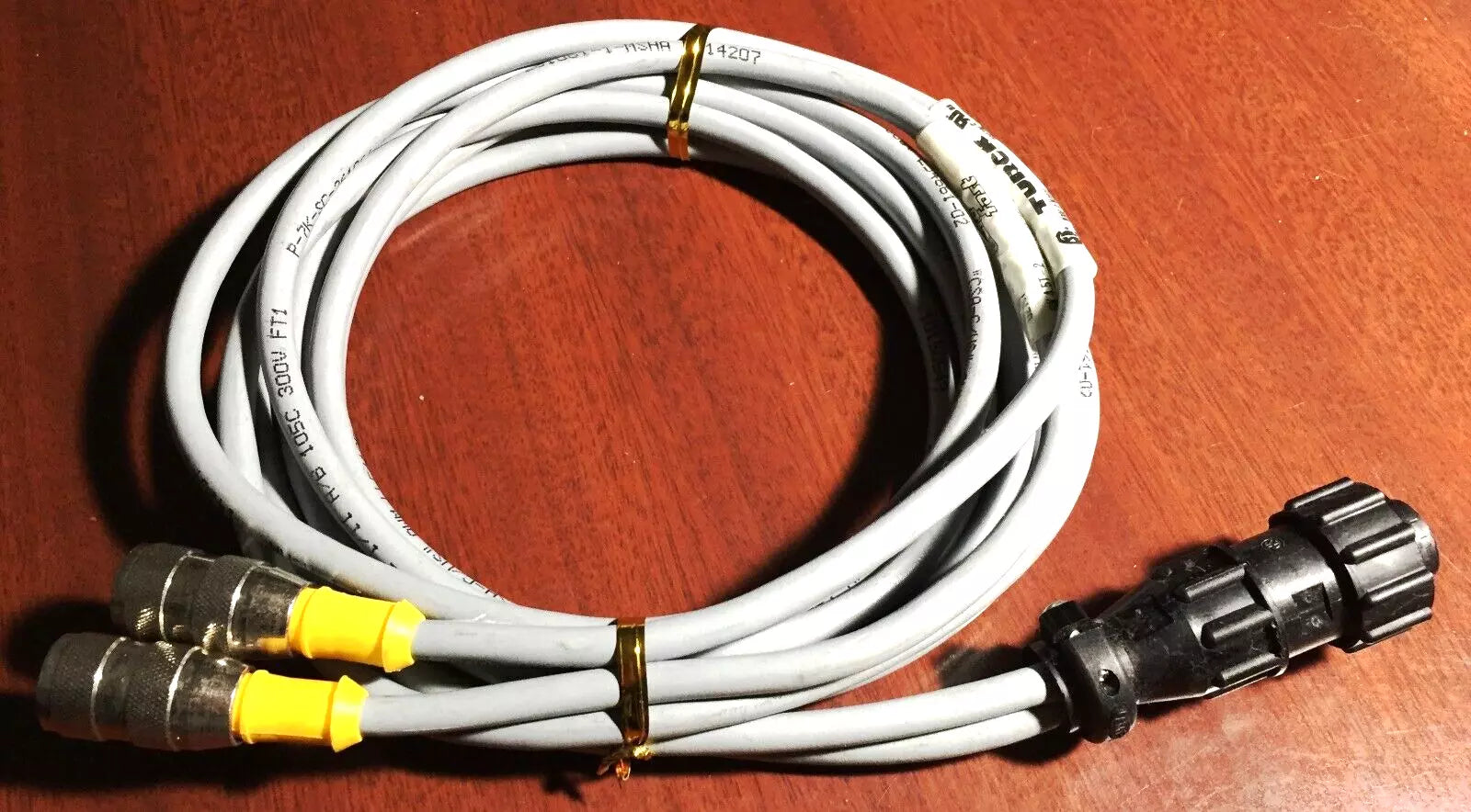 Turck RK-4.5T-2 5 Pole M12 Female with 206429-1 TE Connectivity