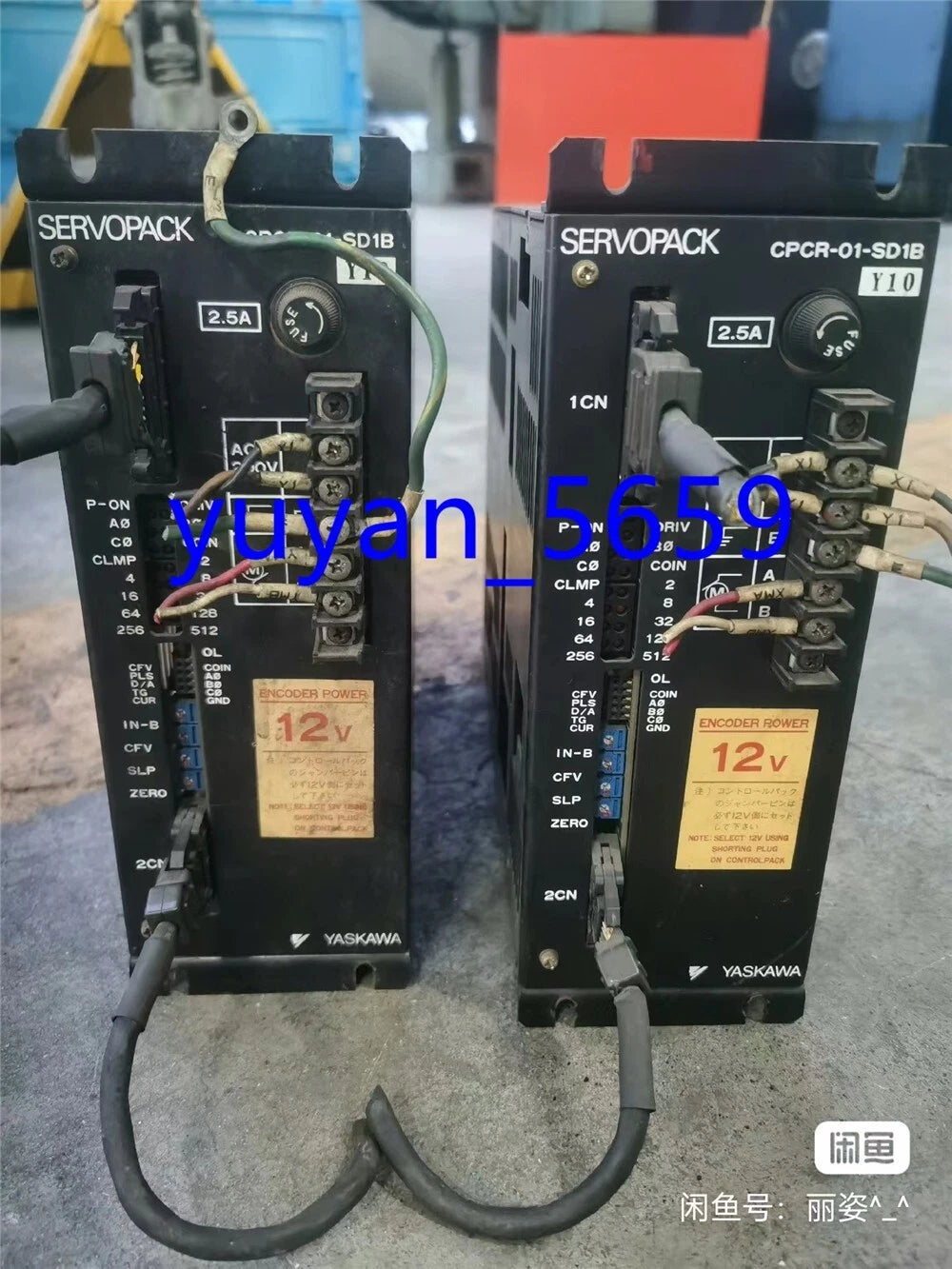 Live Shopping on eBay Platform - Real-Time Interactive Experience