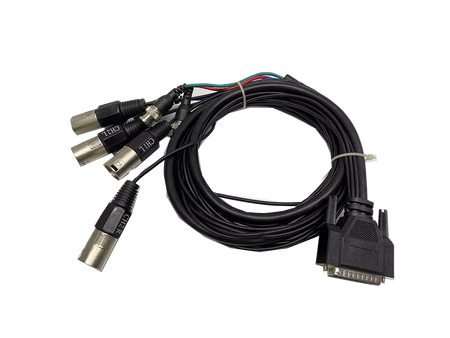 AJA D10CEA SDI to Analog Audio/Video Converter with Patch Cable